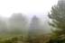 panoramica-niebla