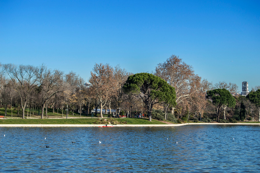 Lago de Casa de Campo y bosque. Depositphotos