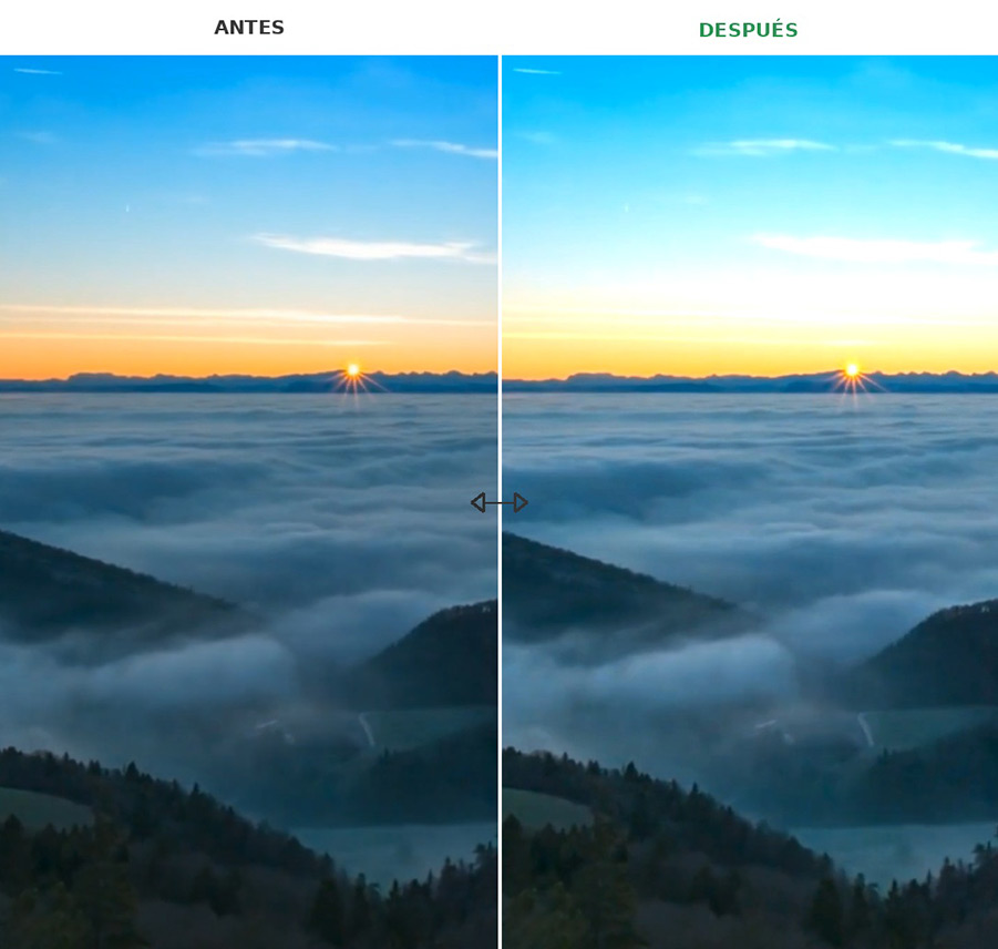 Comparación entre el vídeo original y el resultado después de mejorar una grabación de naturaleza con poca luz