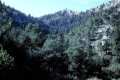 Sierra_de_las_Nieves