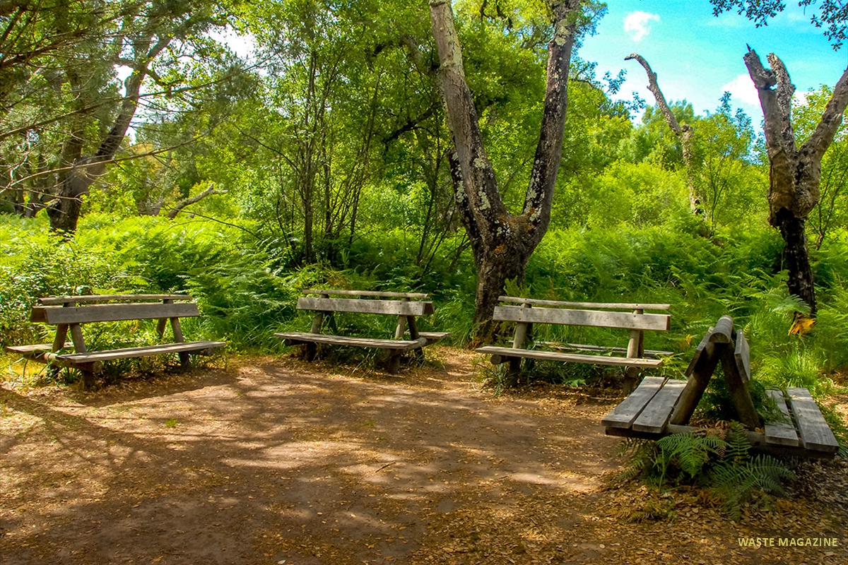 charco-acebron-19
