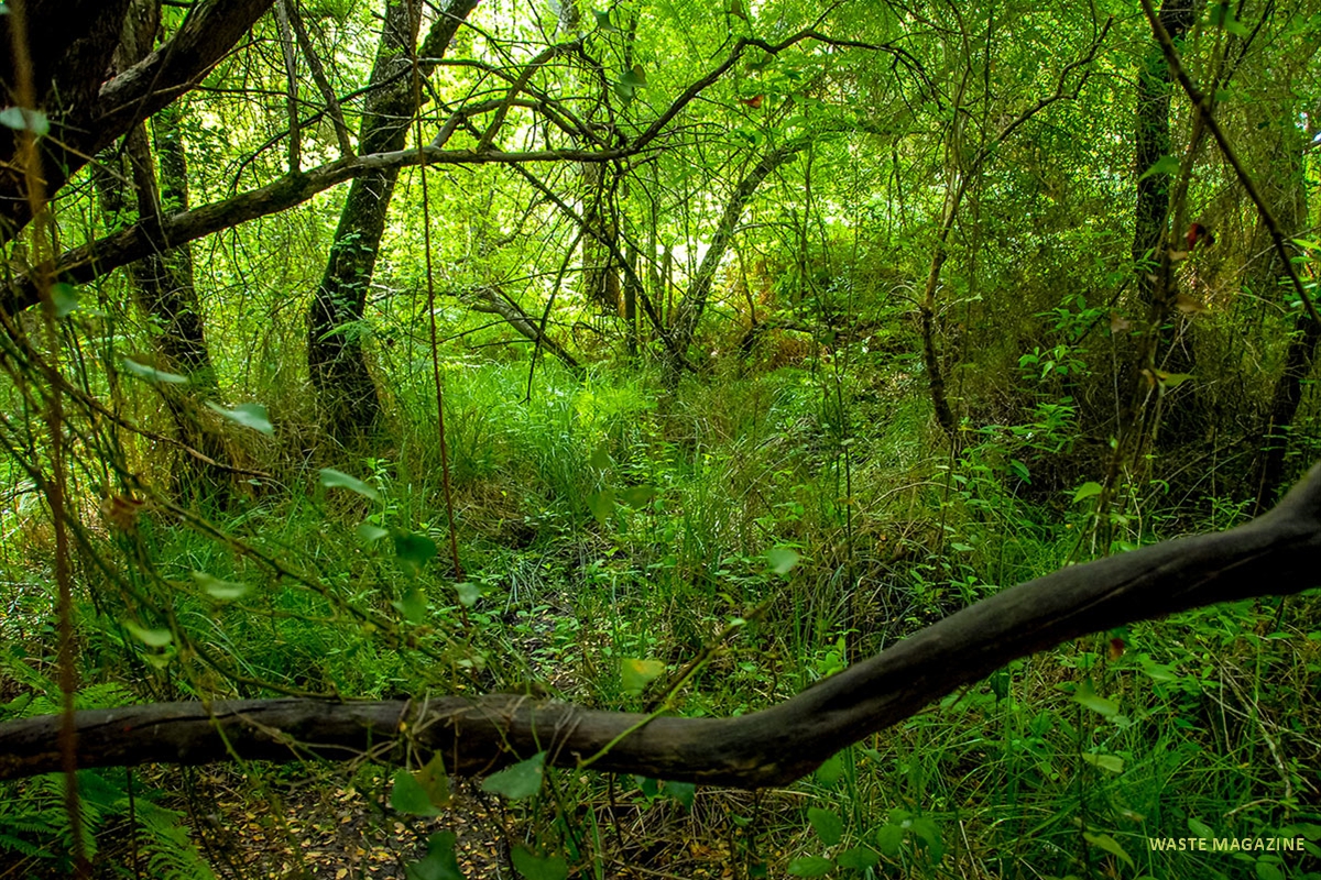 charco-acebron-25