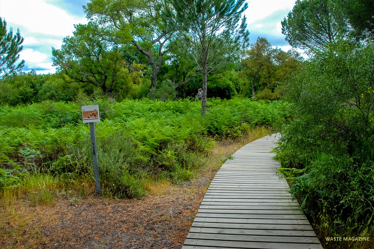 charco-acebron-31
