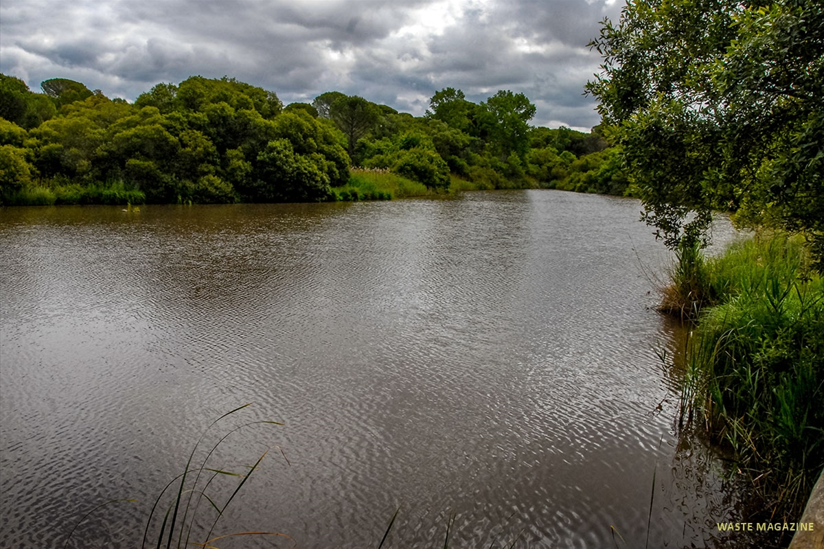 charco-acebron-38
