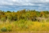charco-acebron-33