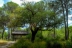 charco-acebron-34
