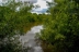 charco-acebron-36