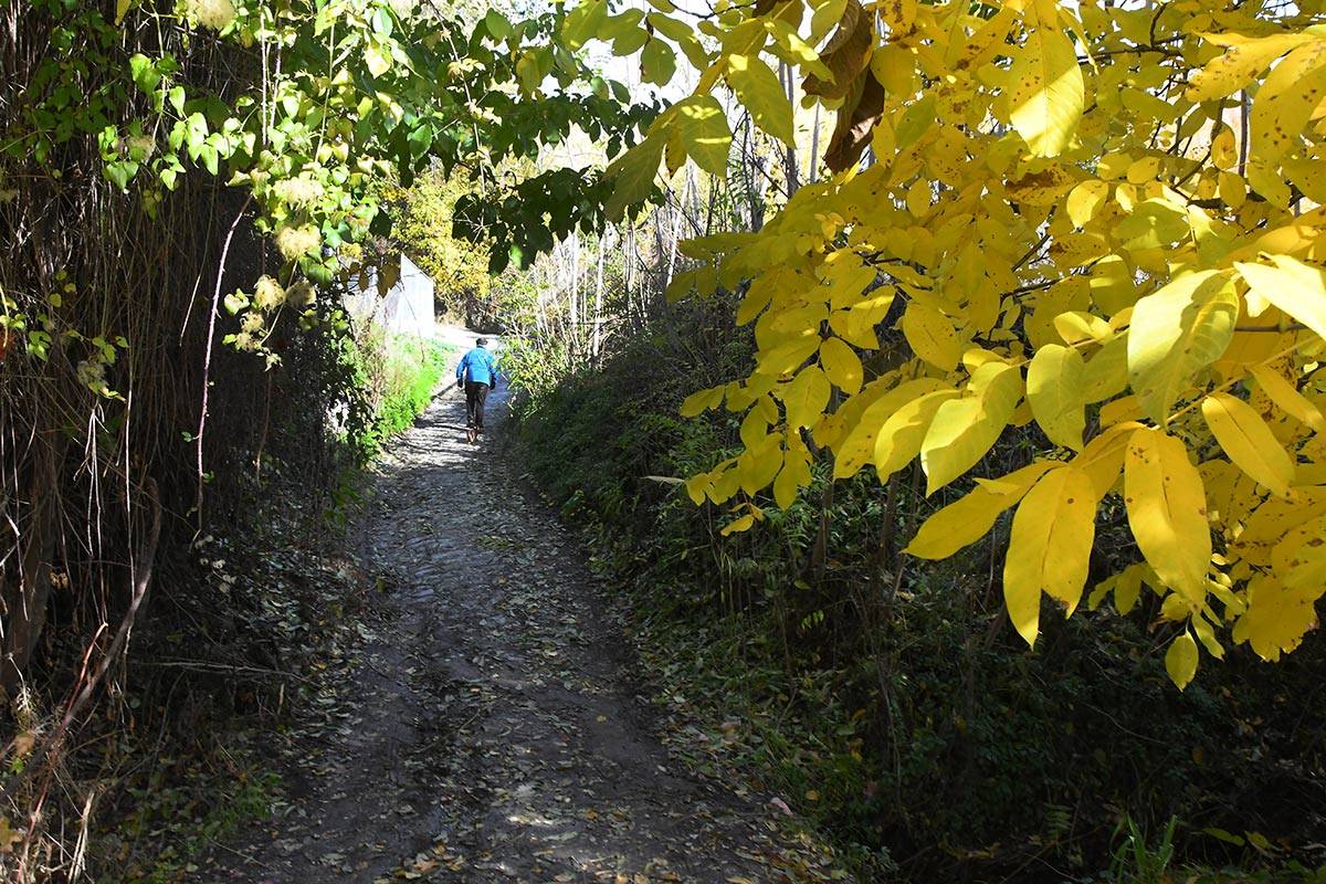 acequia-albaricoque-otono-004