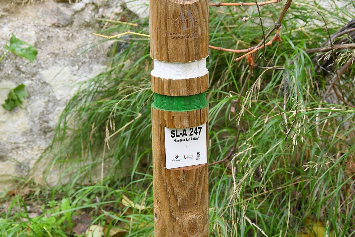 acequia-albaricoque-otono-007