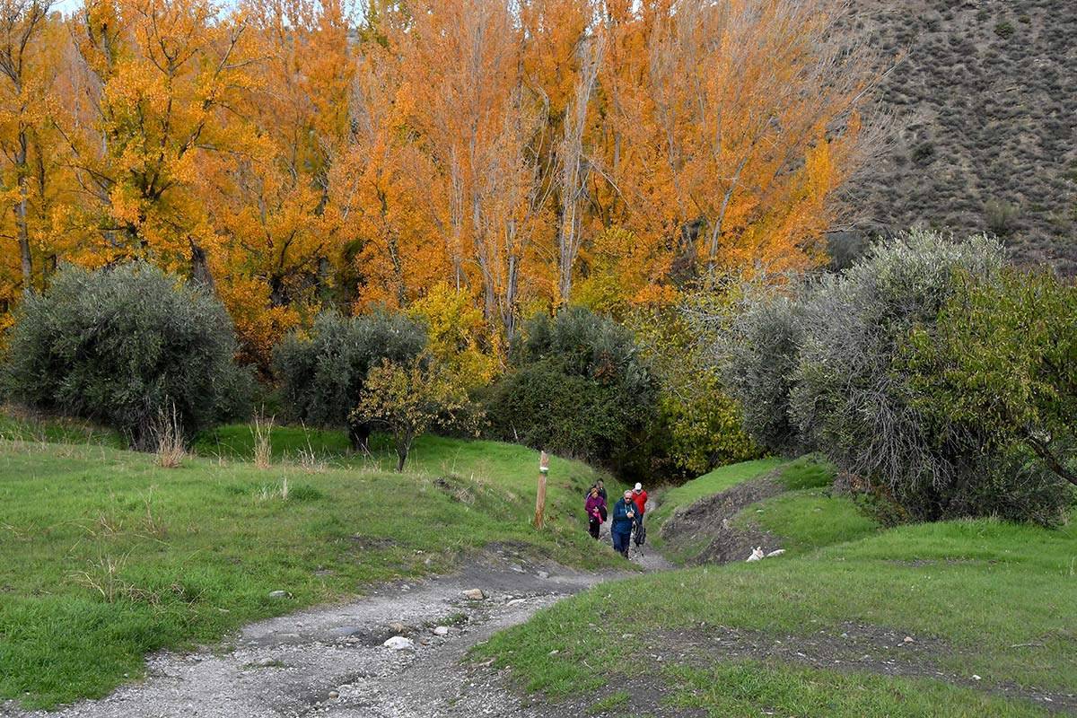 acequia-albaricoque-otono-012