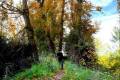 acequia-albaricoque-otono-001