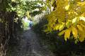 acequia-albaricoque-otono-004