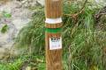 acequia-albaricoque-otono-007