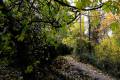 acequia-albaricoque-otono-011