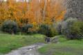 acequia-albaricoque-otono-012