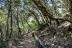 acequia-fardes70