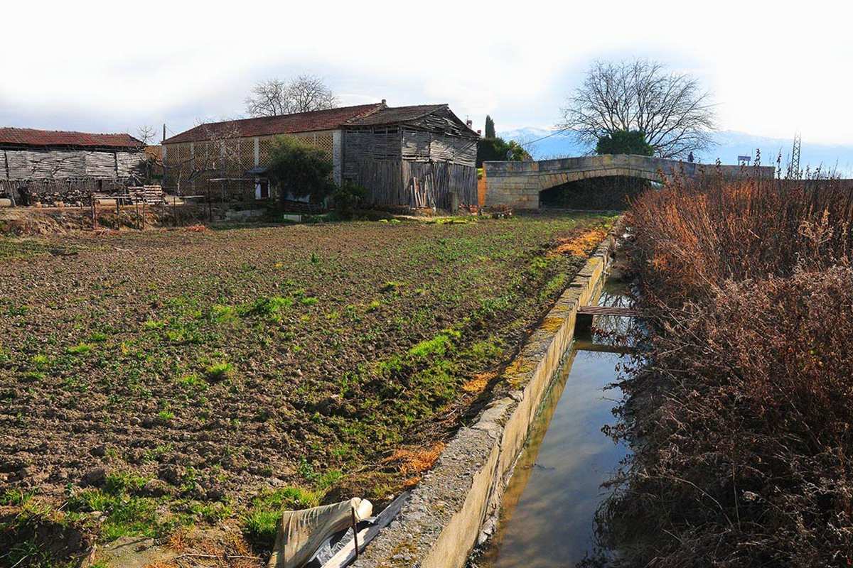 acequia-gorda-05