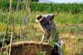 acequia-gorda-03