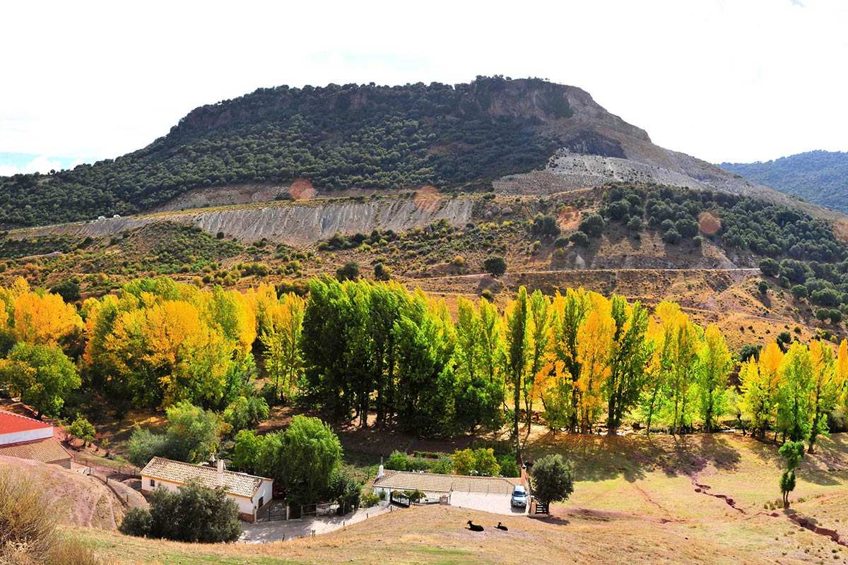 Arroyo del Fardes en otoño