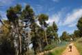 albercones-alhambra-(10)