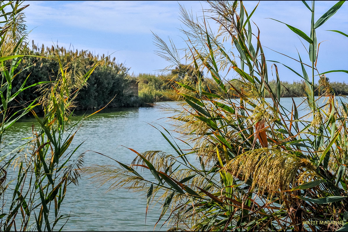 albufera-adra