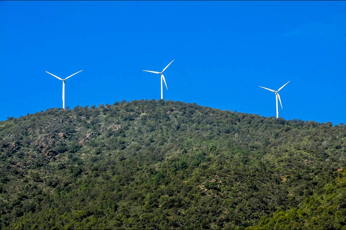 eolica-lujar4