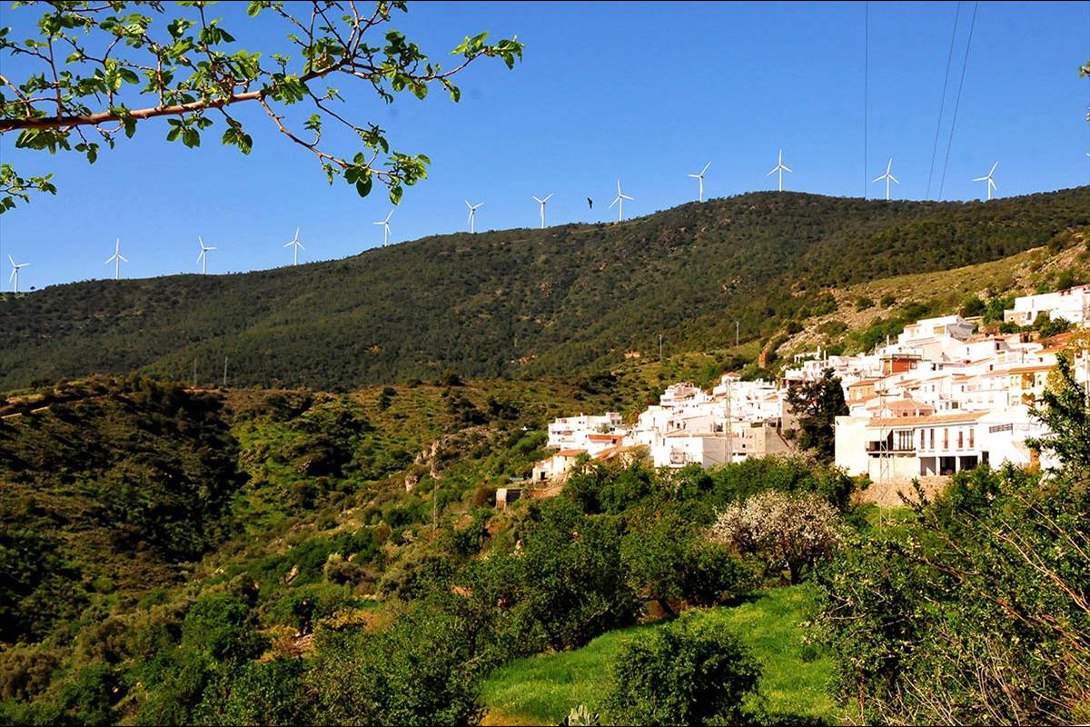 lujar4