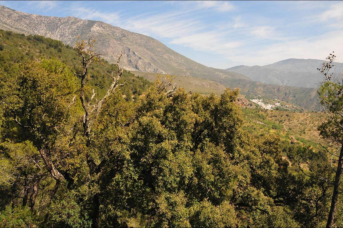 3-1-sierra-de-lujar-2015-antes-del-incendio