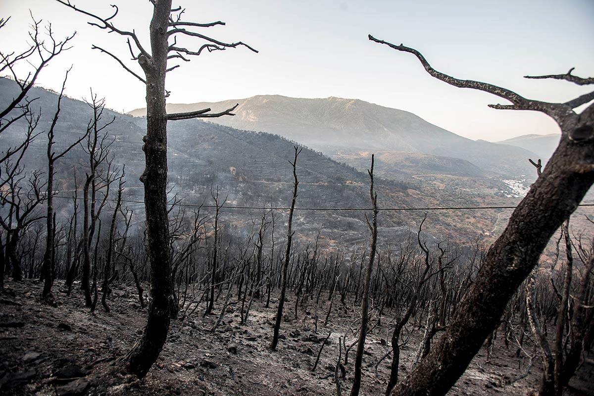 3-2-sierra-de-lujar-2015-tras-el-incendio