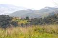 1-1-Zona_quemada-2015-antes-del-incendio