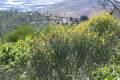 1-3-Zona_quemada-2020-tras-el-incendio