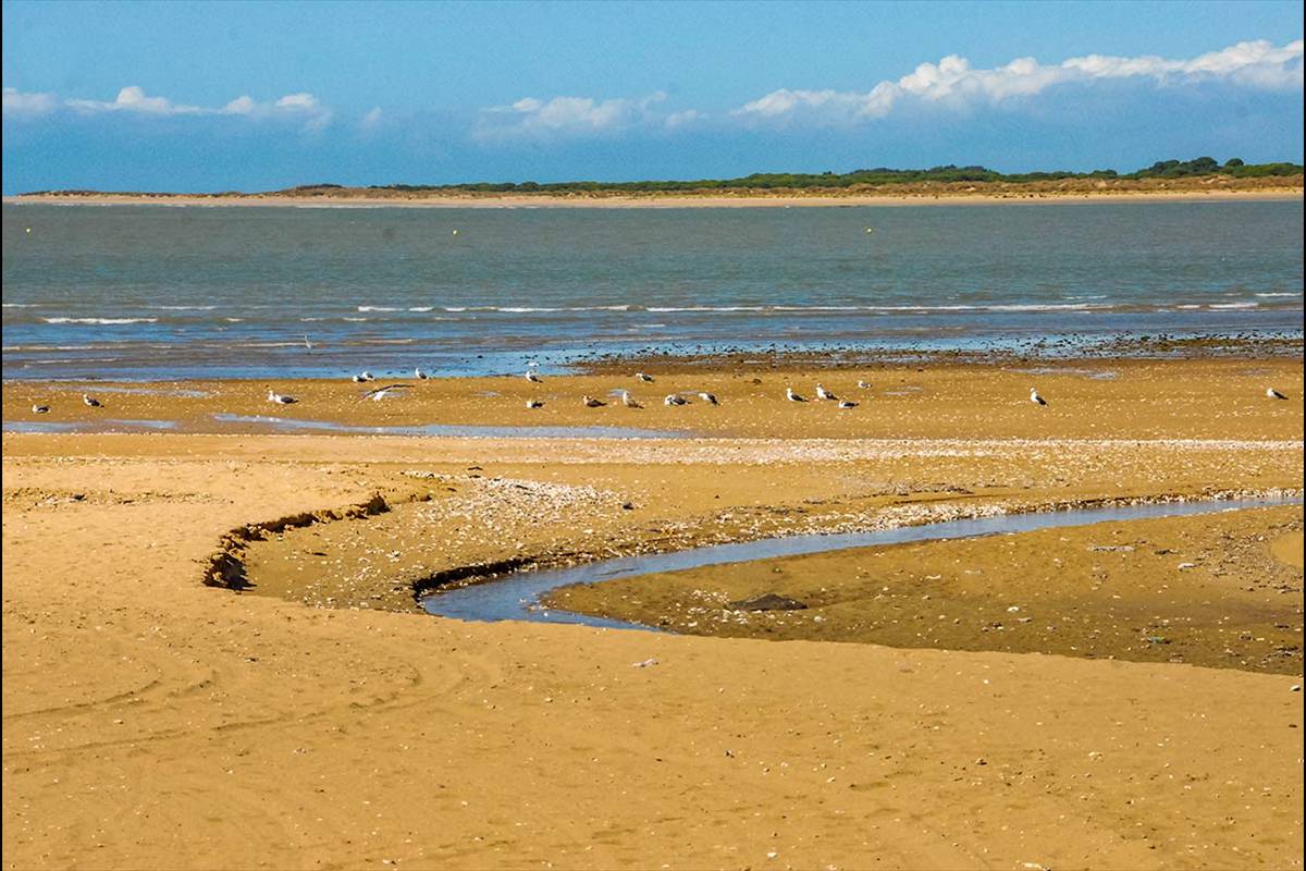 DEsembocadura del Guadalquivir * Cádiz