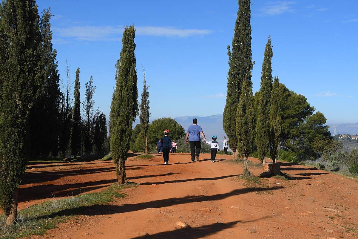 avellano-llano-perdiz-JEG-18