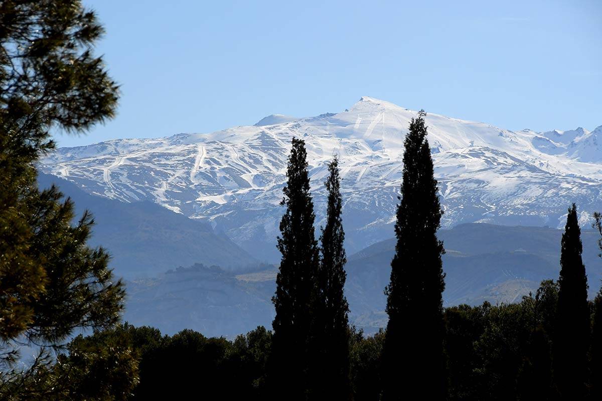 avellano-llano-perdiz-JEG-19