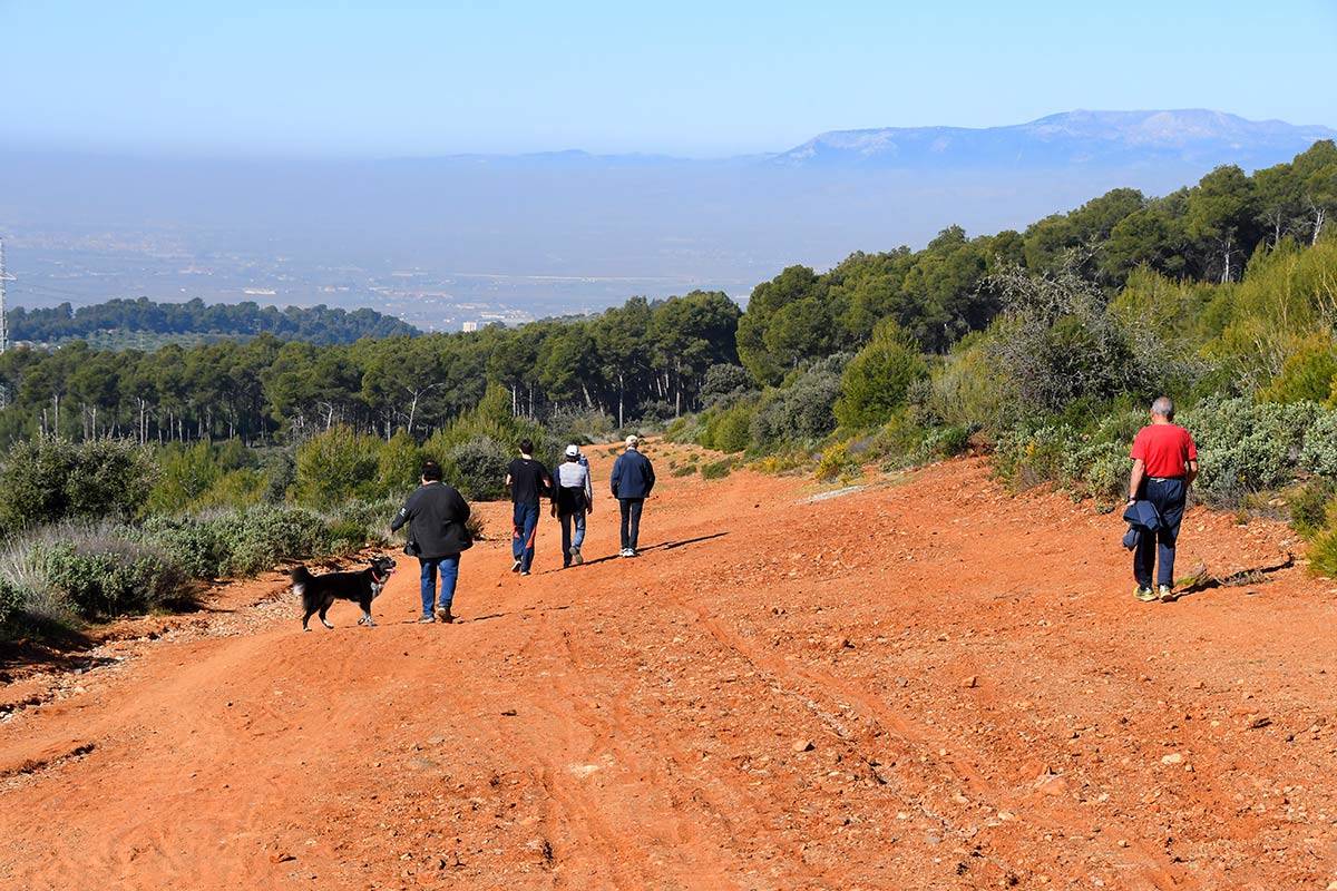 avellano-llano-perdiz-JEG-25