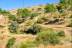 aynadamar-acequia-56