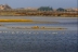 bahiadecadiz230