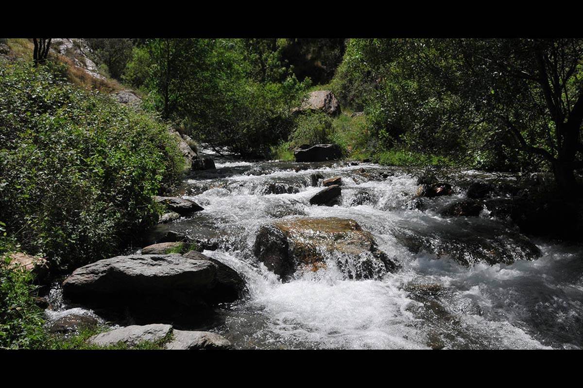ECOSISTEMAS ACUÁTICOS. La falta de regularidad en las precpitaciones de lluvia y nieve, provoca periodos de máximos y mínimos caudales, que afectan directamente a la viabilidad de la biodiversidad. El aumento de la temperatura del agua provocan cambios en las comunidades de fauna y flora. Vertebrados e invertebrados ascienden altitudinalmente en busca de aguas más frías. La recuperación de acequias tradicionales amortiguará los efectos del cambio climático en ecosistemas acuáticos. 