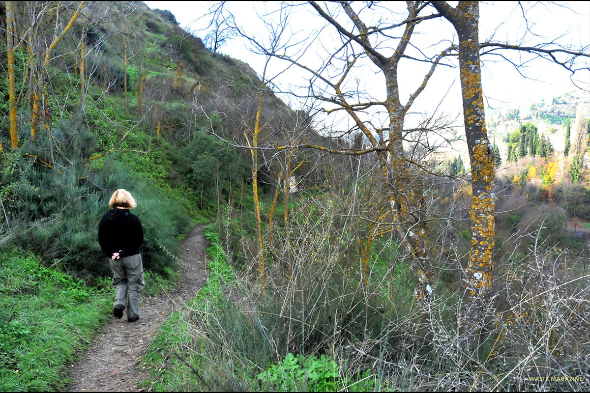 camino-del-avellano-34