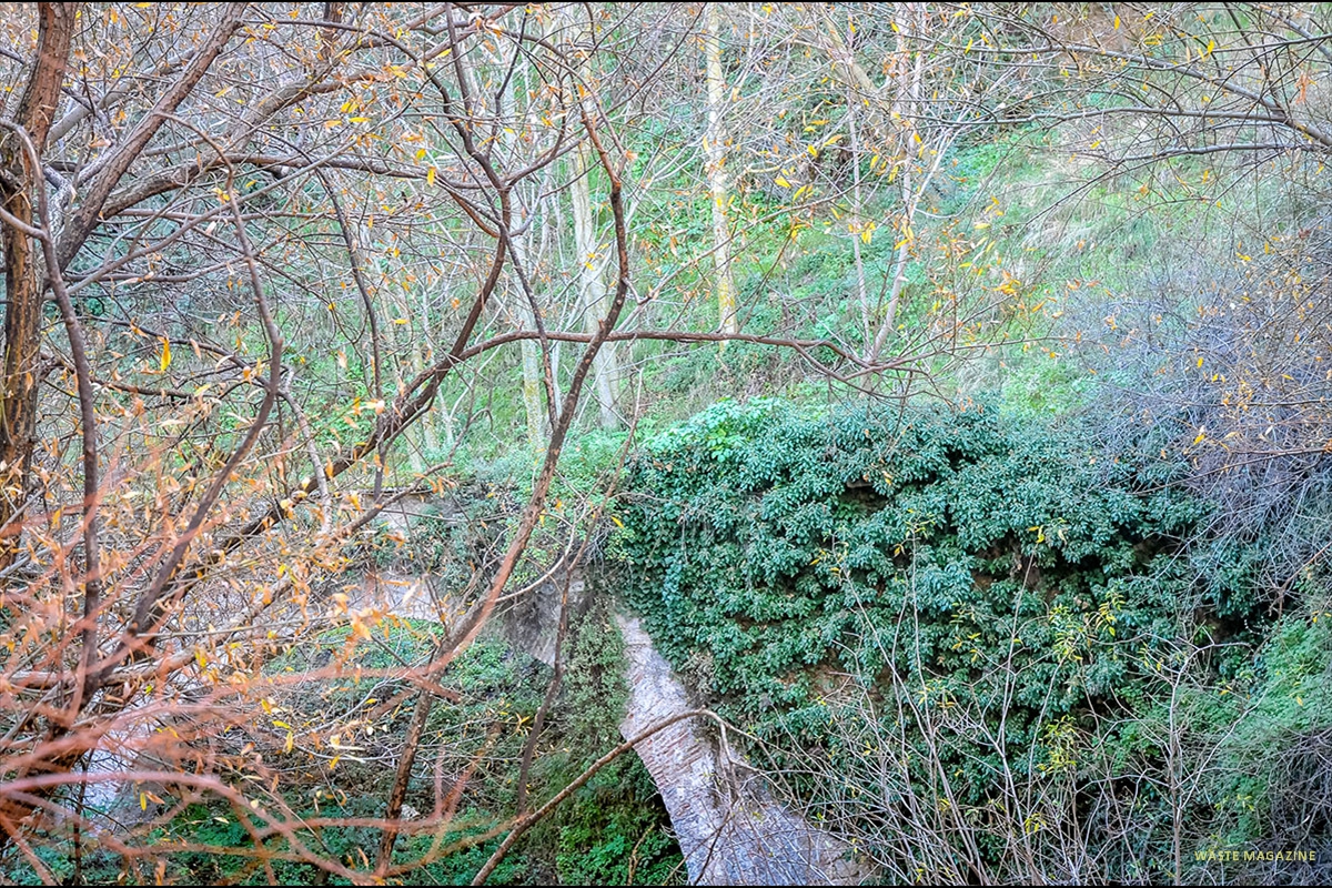 camino-del-avellano-37