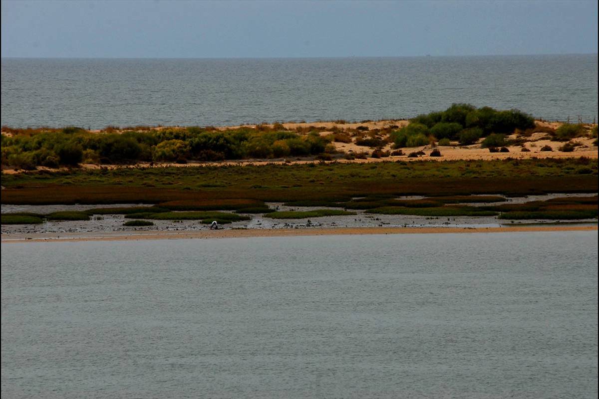 CAÑO DE LA CULATA - FLECHA DEL ROMPIDO