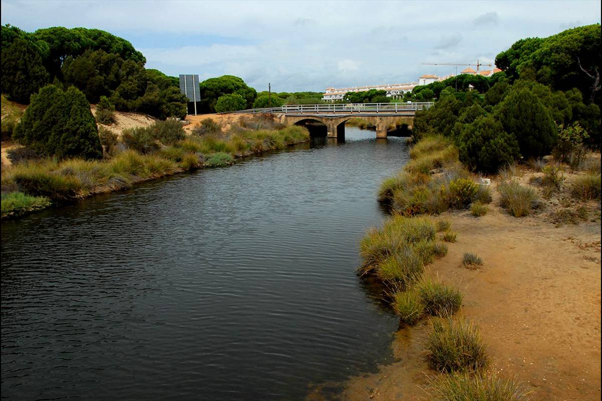 CAÑO DE LA CULATA