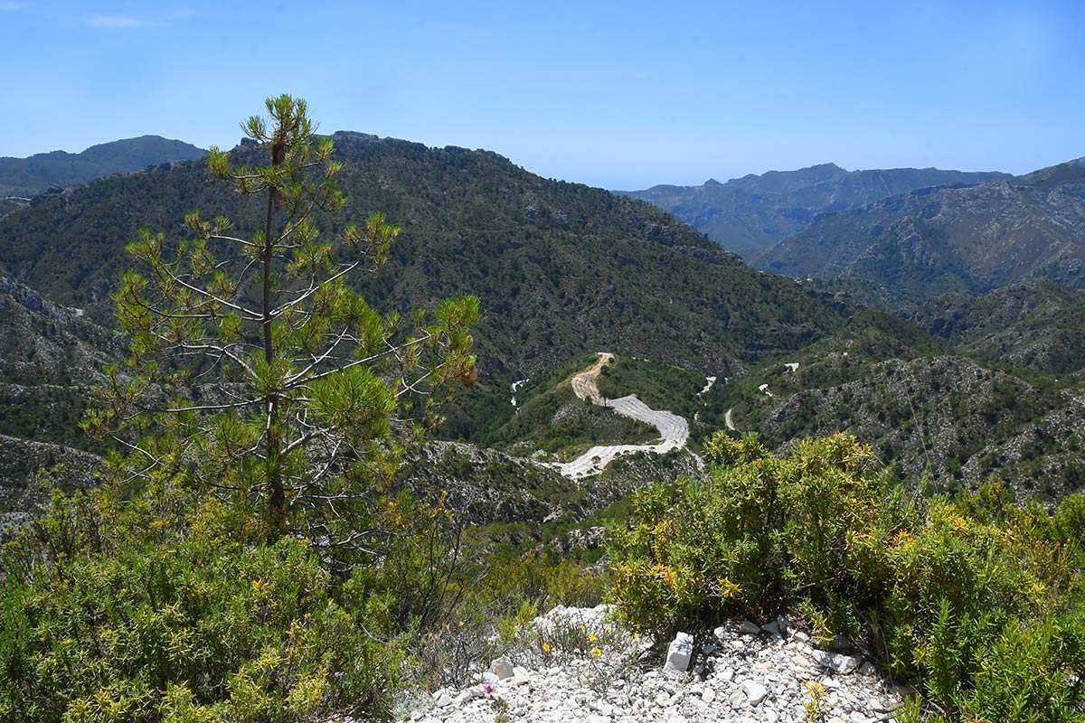 carretera-cabra-047