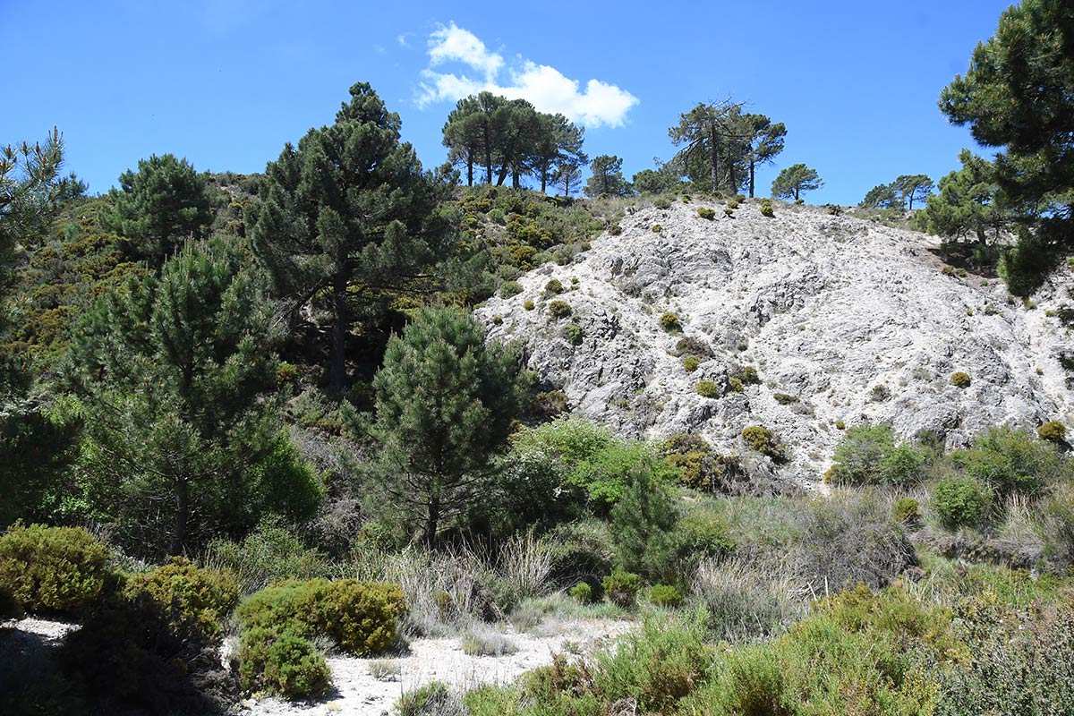 carretera-cabra-linaria-amoi-076