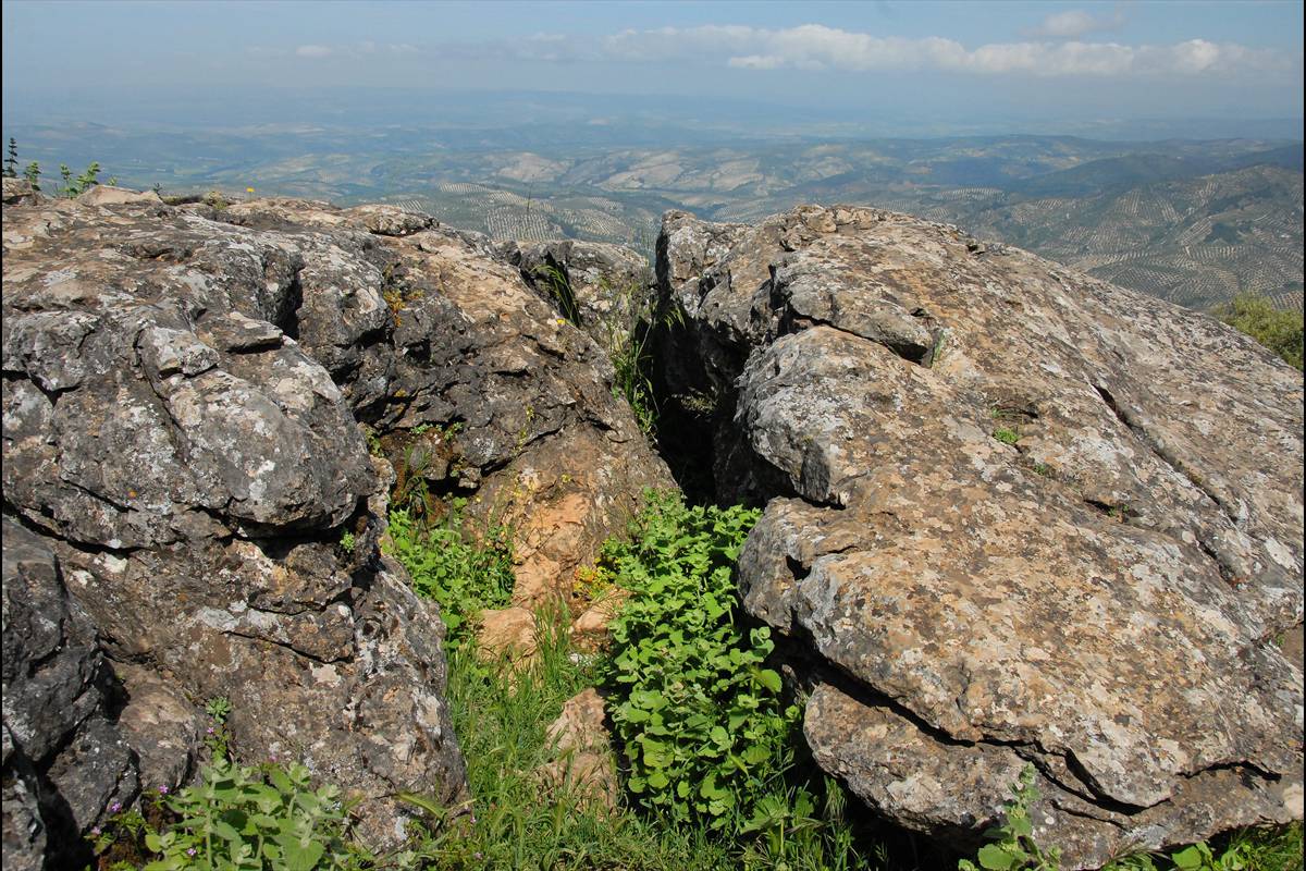 Sierra-de-Cazorla-03