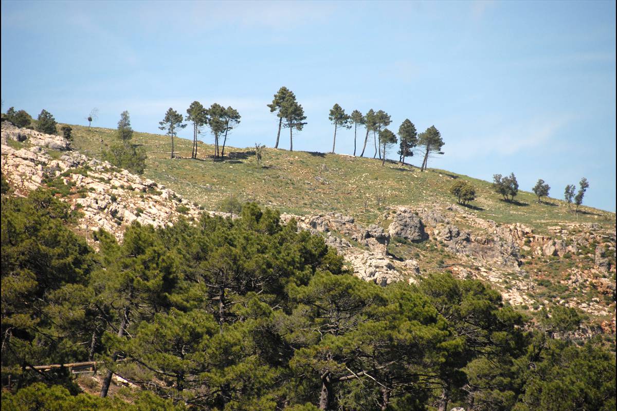 Sierra-de-Cazorla-11