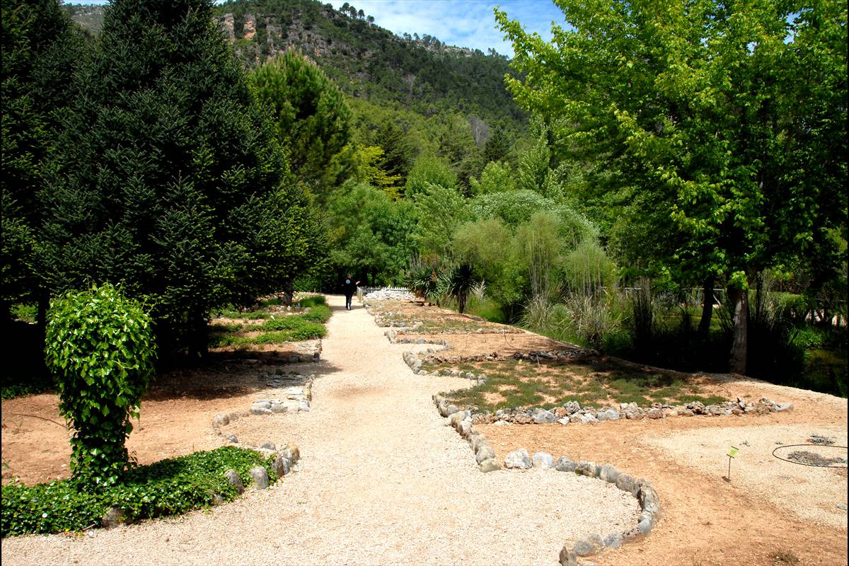 Sierra-de-Cazorla-16