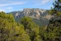 Sierra-de-Cazorla-07
