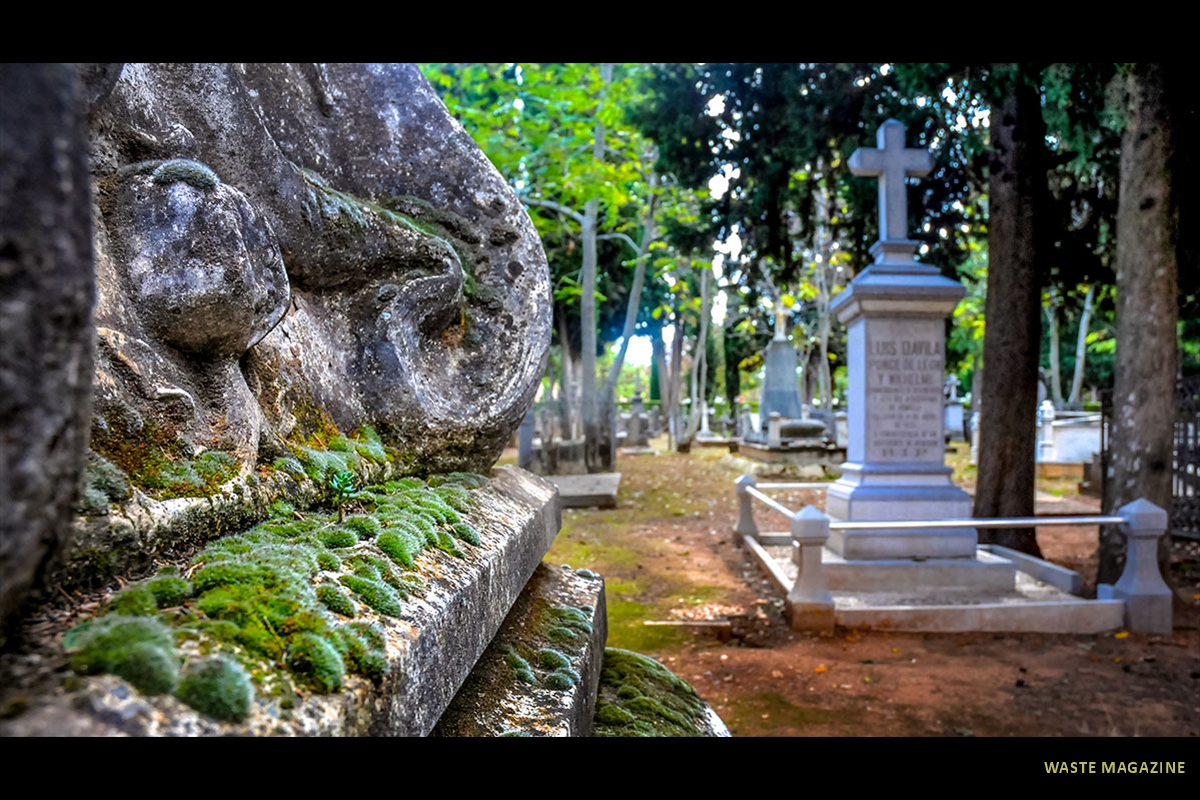 cementerio-fauna-flora-04