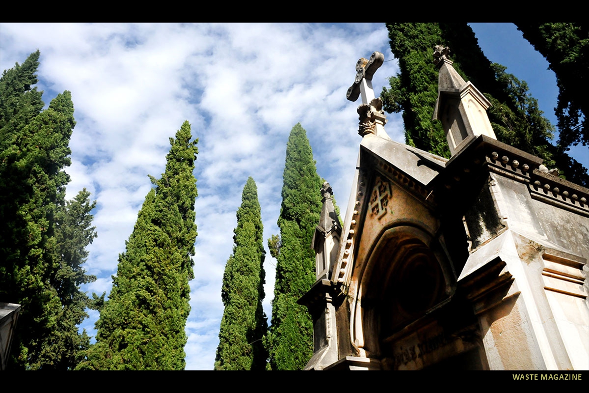 cementerio-fauna-flora-09